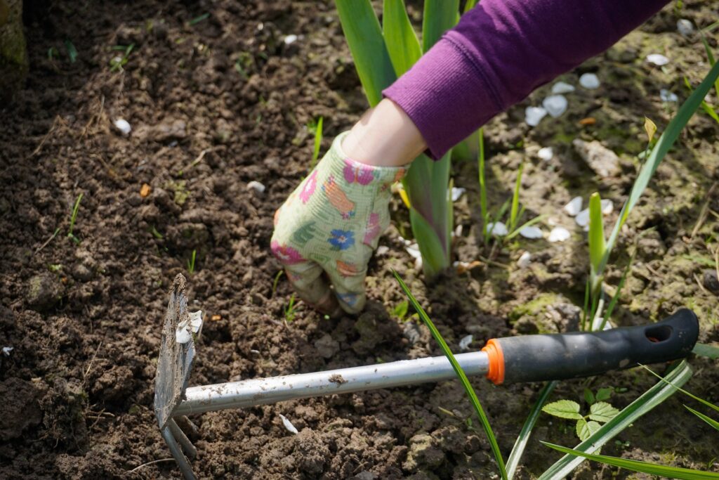 im Garten arbeiten